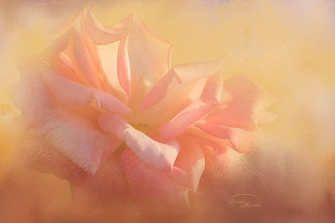 Light is Life White Modern Wood Framed Art Print with Double Matting by Murdock, Ramona