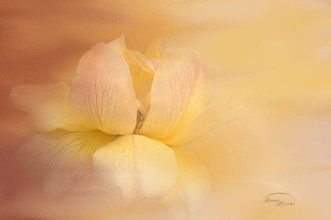 The Sun Shines on All White Modern Wood Framed Art Print with Double Matting by Murdock, Ramona