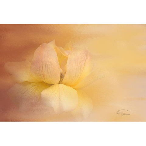 The Sun Shines on All Black Modern Wood Framed Art Print by Murdock, Ramona