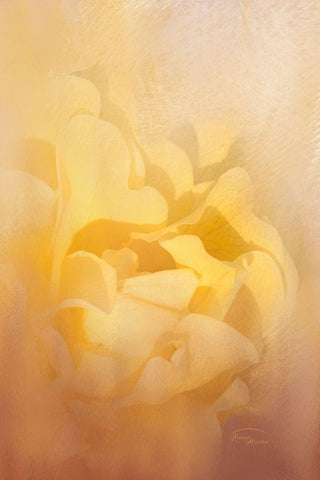 Showers of Light Black Ornate Wood Framed Art Print with Double Matting by Murdock, Ramona