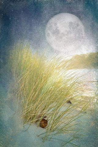 Moonlight Beach Black Ornate Wood Framed Art Print with Double Matting by Murdock, Ramona