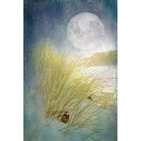 Moonlight Beach Black Modern Wood Framed Art Print by Murdock, Ramona