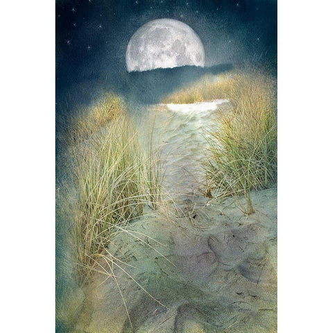 Moonlight Path Gold Ornate Wood Framed Art Print with Double Matting by Murdock, Ramona