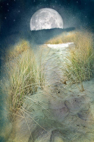 Moonlight Path White Modern Wood Framed Art Print with Double Matting by Murdock, Ramona