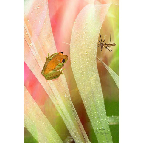 Got My Eye On You Gold Ornate Wood Framed Art Print with Double Matting by Murdock, Ramona