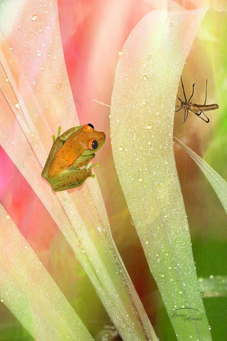 Got My Eye On You White Modern Wood Framed Art Print with Double Matting by Murdock, Ramona