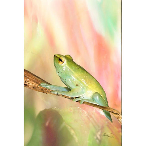 Basking in Light White Modern Wood Framed Art Print by Murdock, Ramona