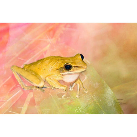 Waiting for Lunch Gold Ornate Wood Framed Art Print with Double Matting by Murdock, Ramona