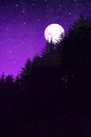 Autumn Moon White Modern Wood Framed Art Print with Double Matting by Murdock, Ramona