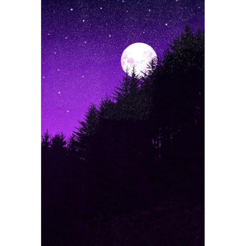 Autumn Moon Black Modern Wood Framed Art Print by Murdock, Ramona