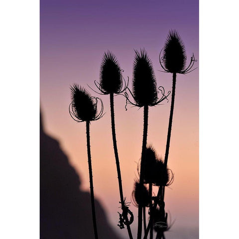 Silhouette White Modern Wood Framed Art Print by Murdock, Ramona