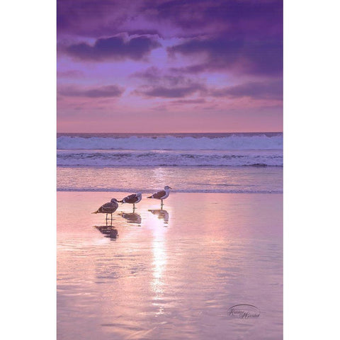 Seagull Beach II Black Modern Wood Framed Art Print with Double Matting by Murdock, Ramona