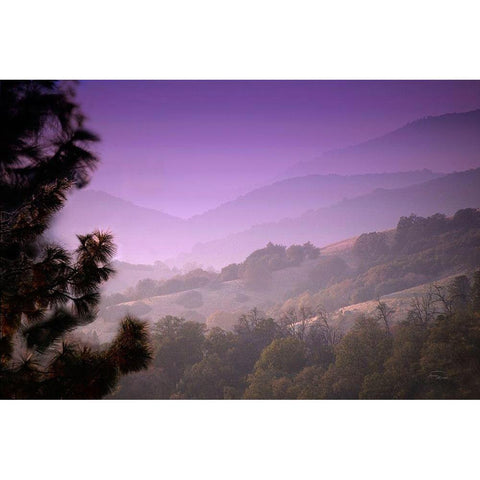 Misty Valley Black Modern Wood Framed Art Print by Murdock, Ramona