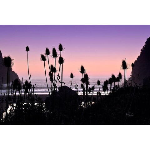 Beach Twilight I White Modern Wood Framed Art Print by Murdock, Ramona