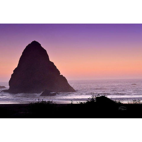 Whaleshead Beach II White Modern Wood Framed Art Print by Murdock, Ramona