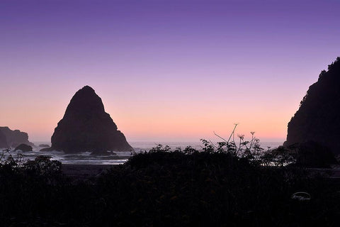 Whaleshead Beach Black Ornate Wood Framed Art Print with Double Matting by Murdock, Ramona