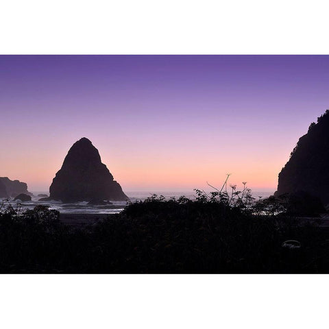 Whaleshead Beach Gold Ornate Wood Framed Art Print with Double Matting by Murdock, Ramona