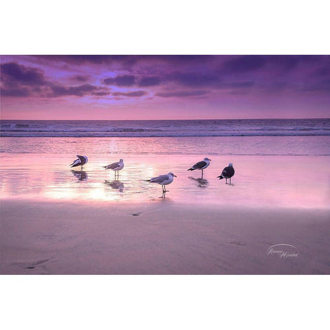 Seagull Beach I Black Modern Wood Framed Art Print by Murdock, Ramona