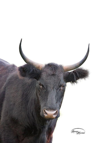 Whatzup Black Ornate Wood Framed Art Print with Double Matting by Murdock, Ramona