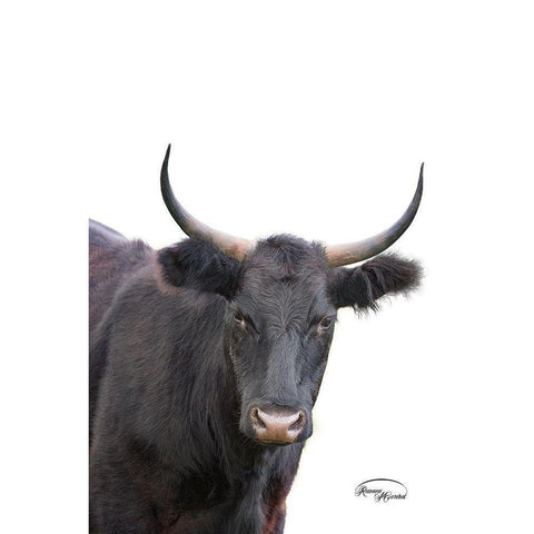 Whatzup Gold Ornate Wood Framed Art Print with Double Matting by Murdock, Ramona