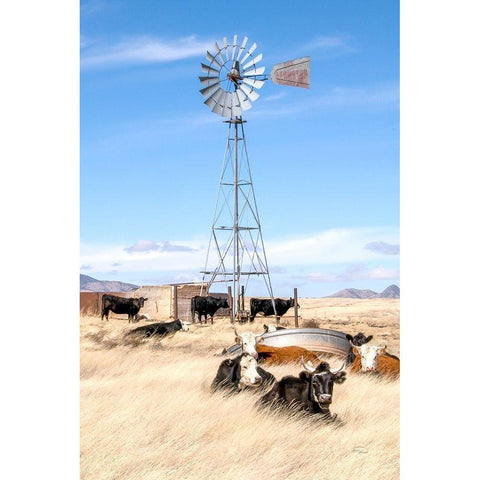 On a Lazy Afternoon Black Modern Wood Framed Art Print by Murdock, Ramona