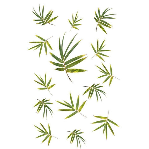 Bamboo Leaf Collection Black Modern Wood Framed Art Print by Murdock, Ramona