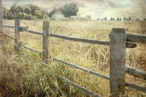 Rustic Fence Black Ornate Wood Framed Art Print with Double Matting by Murdock, Ramona