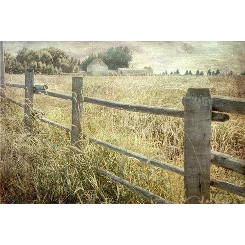 Rustic Fence Gold Ornate Wood Framed Art Print with Double Matting by Murdock, Ramona