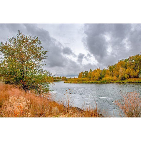 Snake River Autumn I Black Modern Wood Framed Art Print by Murdock, Ramona