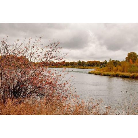 Snake River Autumn II White Modern Wood Framed Art Print by Murdock, Ramona