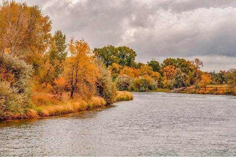 Snake River Autumn III Black Ornate Wood Framed Art Print with Double Matting by Murdock, Ramona