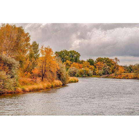 Snake River Autumn III Gold Ornate Wood Framed Art Print with Double Matting by Murdock, Ramona