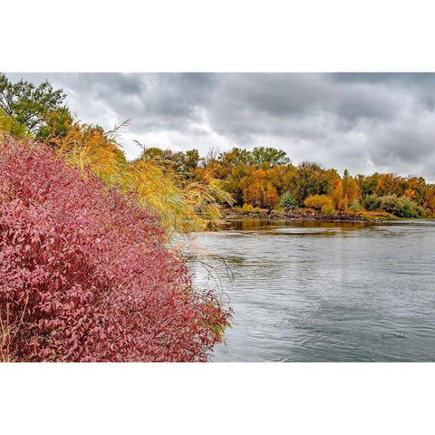 Snake River Autumn IV White Modern Wood Framed Art Print by Murdock, Ramona