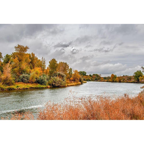 Snake River Autumn V White Modern Wood Framed Art Print by Murdock, Ramona