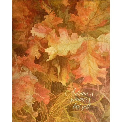 Summers Gift Gold Ornate Wood Framed Art Print with Double Matting by Murdock, Ramona