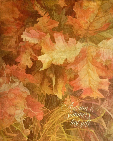 Summers Gift Black Ornate Wood Framed Art Print with Double Matting by Murdock, Ramona