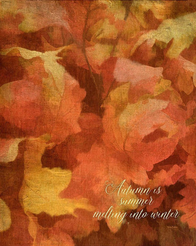 Summer Melting Into Winter Black Ornate Wood Framed Art Print with Double Matting by Murdock, Ramona