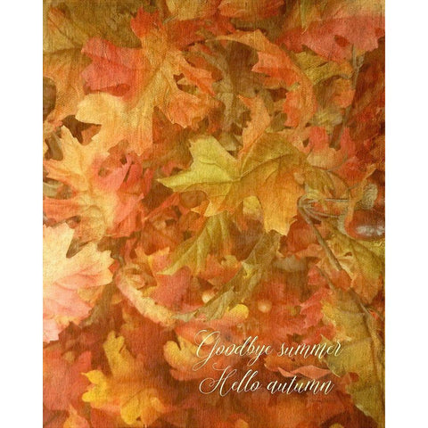 Goodbye Summer Black Modern Wood Framed Art Print with Double Matting by Murdock, Ramona