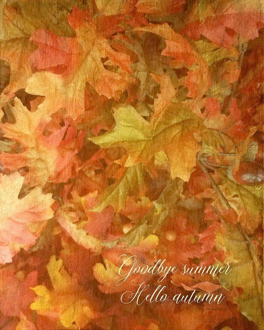 Goodbye Summer White Modern Wood Framed Art Print with Double Matting by Murdock, Ramona