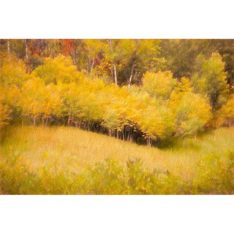 Fall Thicket White Modern Wood Framed Art Print by Murdock, Ramona