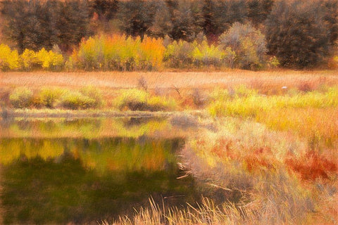 Autumn Pond White Modern Wood Framed Art Print with Double Matting by Murdock, Ramona
