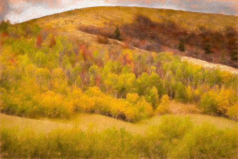 Autumn on the Hill White Modern Wood Framed Art Print with Double Matting by Murdock, Ramona