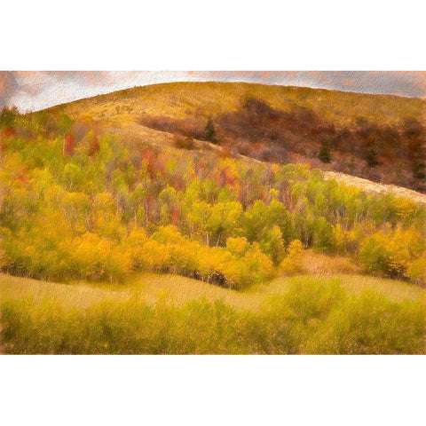 Autumn on the Hill Black Modern Wood Framed Art Print by Murdock, Ramona