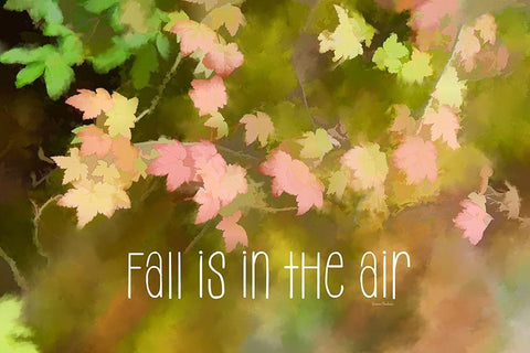 Fall is in the Air Black Ornate Wood Framed Art Print with Double Matting by Murdock, Ramona