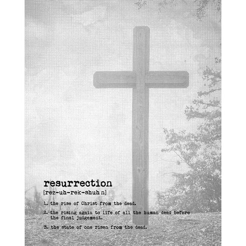 Resurrection II Black Modern Wood Framed Art Print with Double Matting by Murdock, Ramona