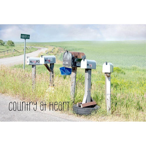 Country at Heart Black Modern Wood Framed Art Print by Murdock, Ramona