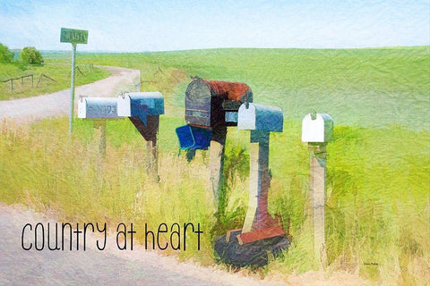 Country at Heart White Modern Wood Framed Art Print with Double Matting by Murdock, Ramona