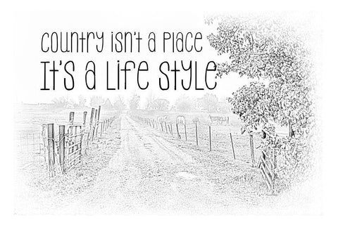 Country Style Black Ornate Wood Framed Art Print with Double Matting by Murdock, Ramona
