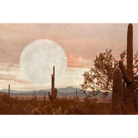 Desert Twilight White Modern Wood Framed Art Print by Murdock, Ramona