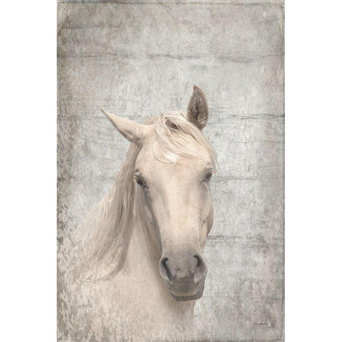 Her Textured White Modern Wood Framed Art Print by Murdock, Ramona